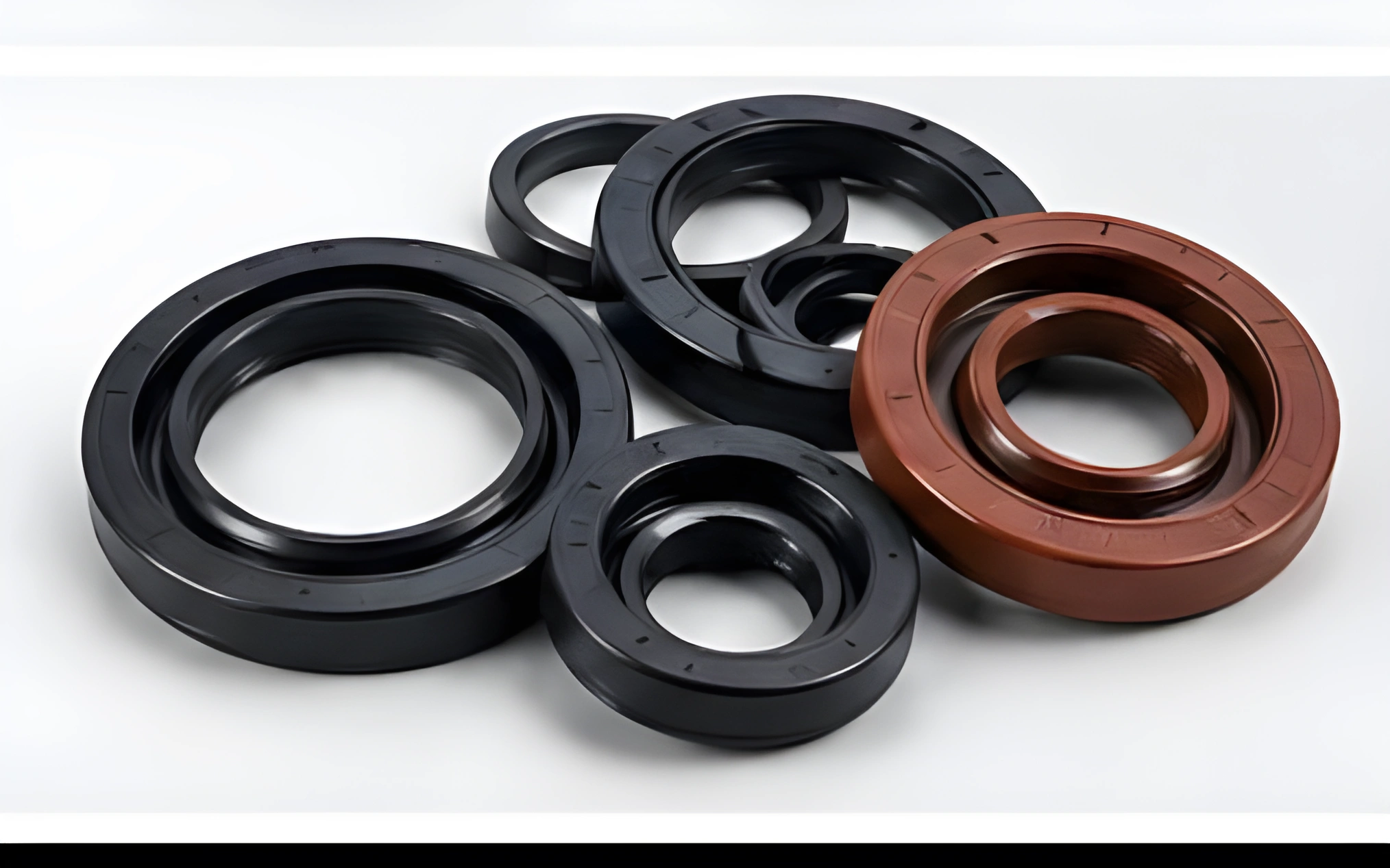 Oil Seals